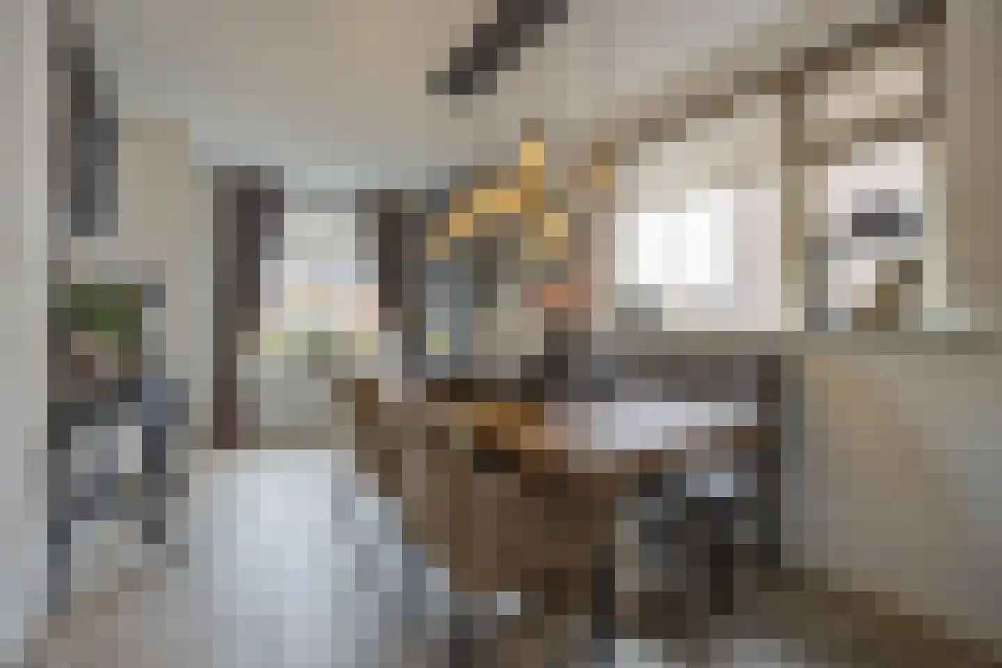 Poppestraat 80 St. Willebrord thumbnail 11