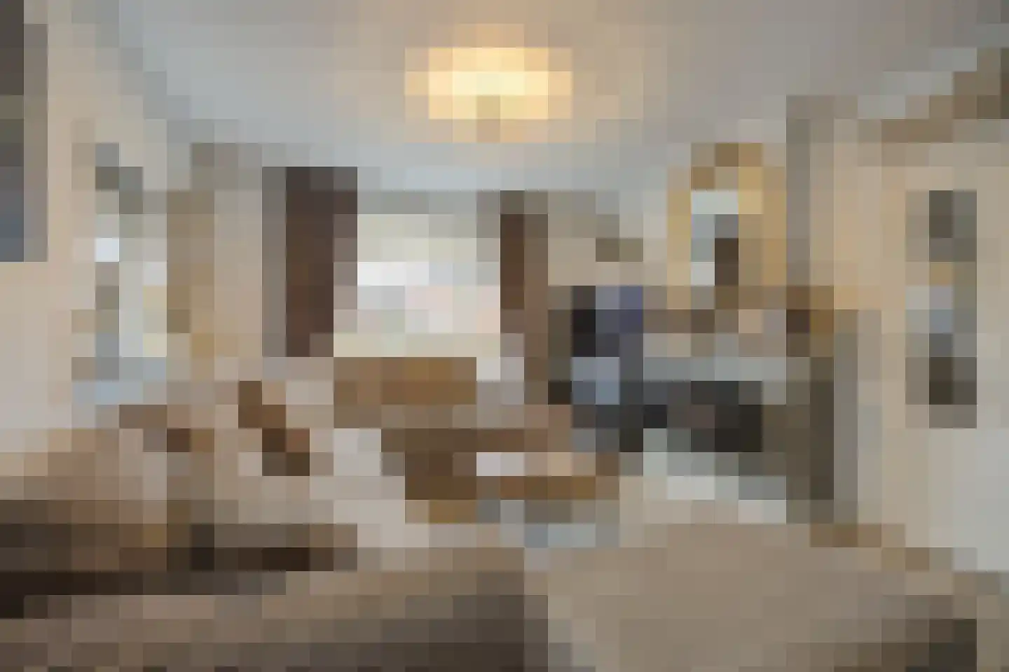 Poppestraat 80 St. Willebrord thumbnail 13
