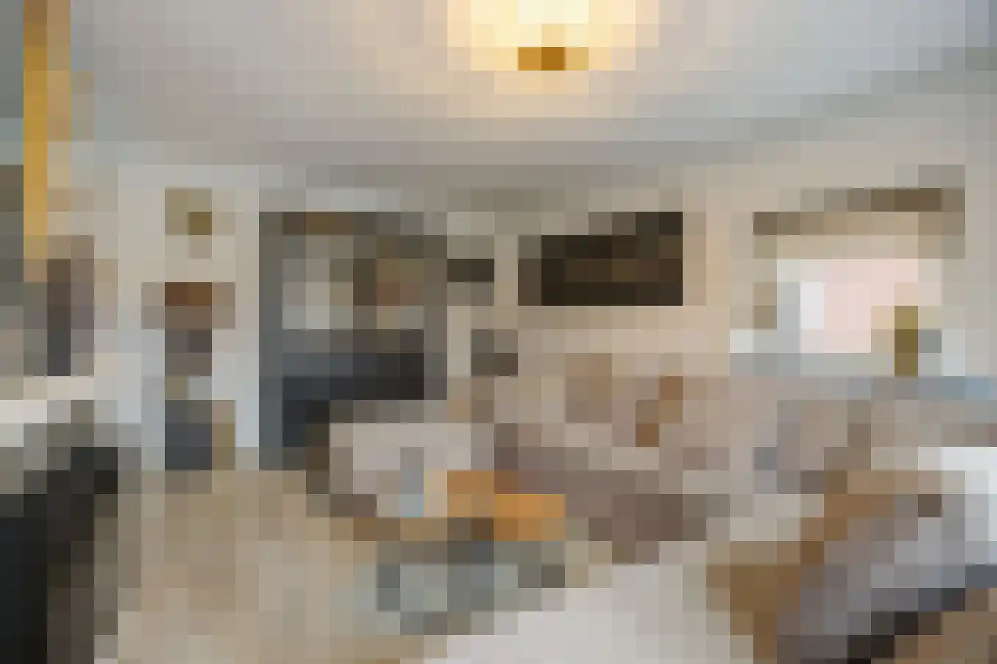 Poppestraat 80 St. Willebrord thumbnail 14
