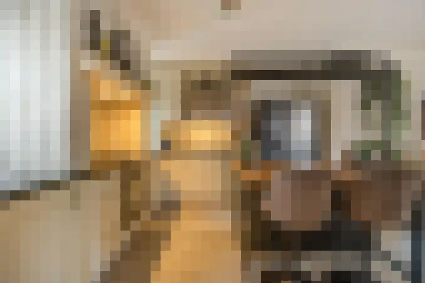 Poppestraat 80 St. Willebrord thumbnail 17