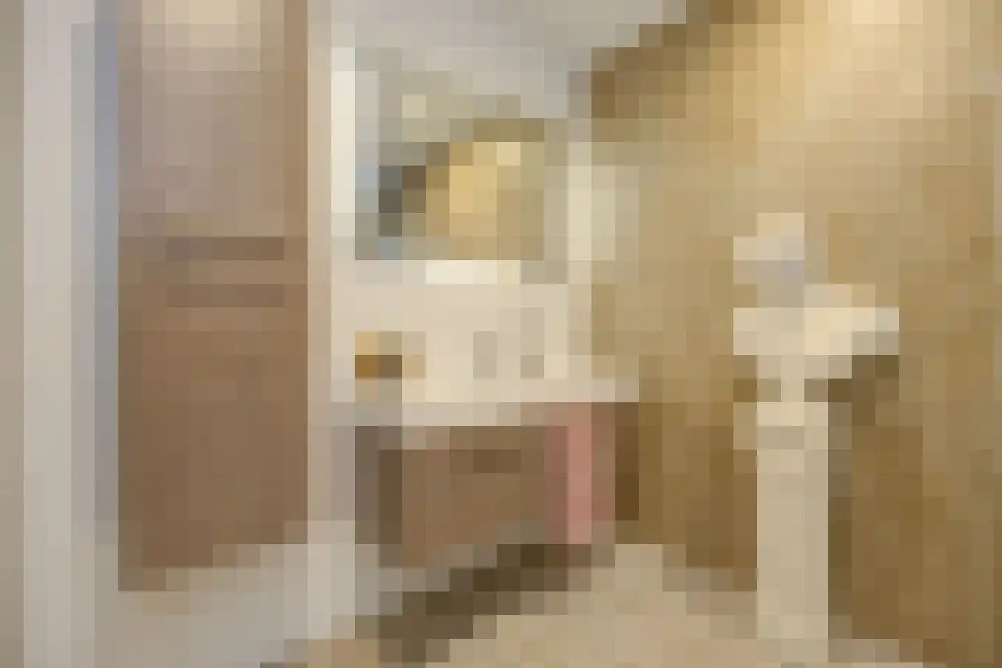 Poppestraat 80 St. Willebrord thumbnail 19