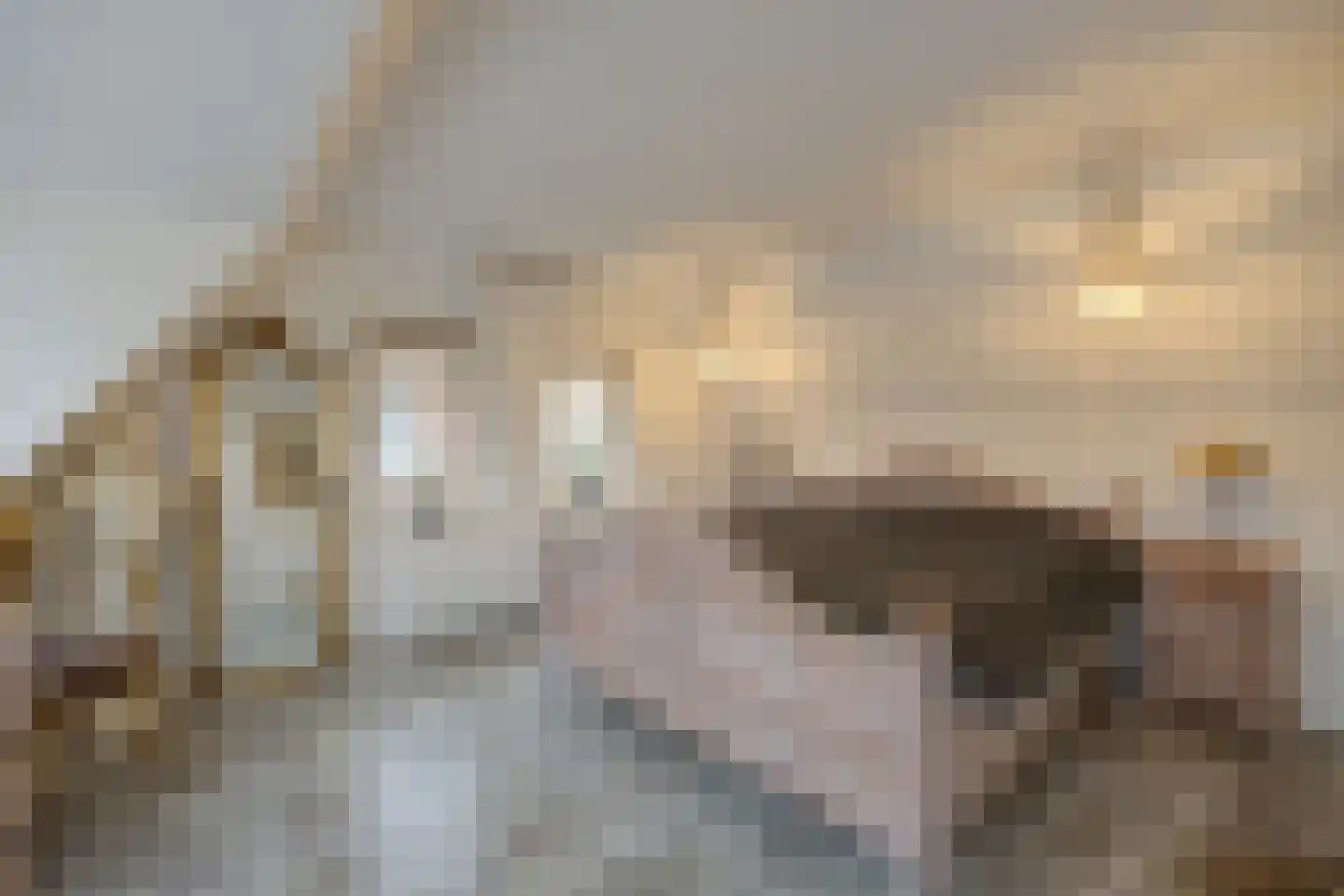 Poppestraat 80 St. Willebrord thumbnail 25