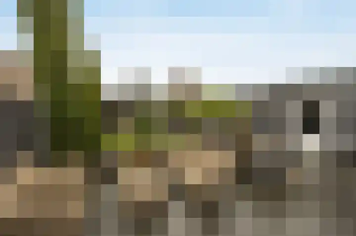Poppestraat 80 St. Willebrord thumbnail 30