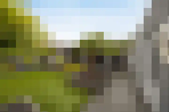 Poppestraat 80 St. Willebrord thumbnail 32