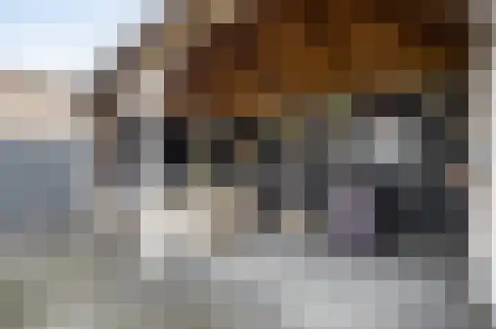 Poppestraat 80 St. Willebrord thumbnail 33