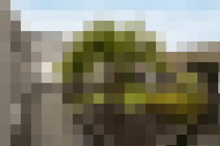 Poppestraat 80 St. Willebrord thumbnail 34