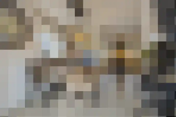Poppestraat 80 St. Willebrord thumbnail 7