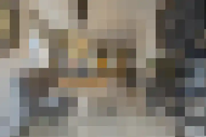 Poppestraat 80 St. Willebrord thumbnail 8