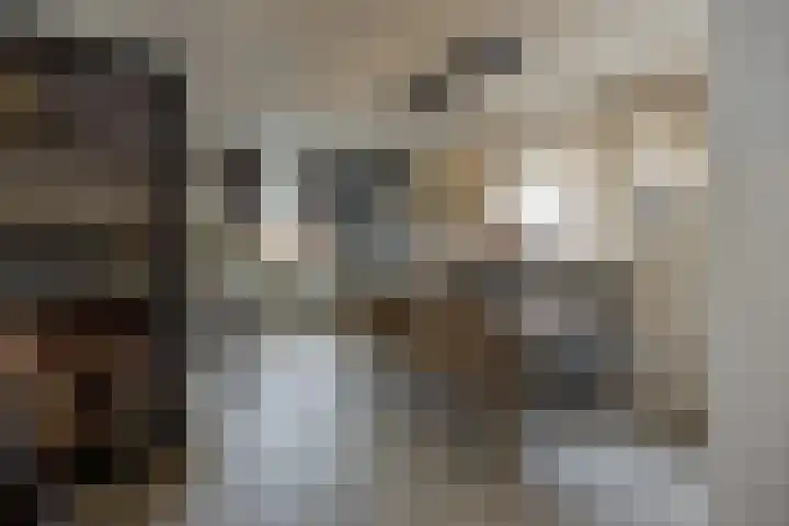 Poppestraat 80 St. Willebrord thumbnail 9