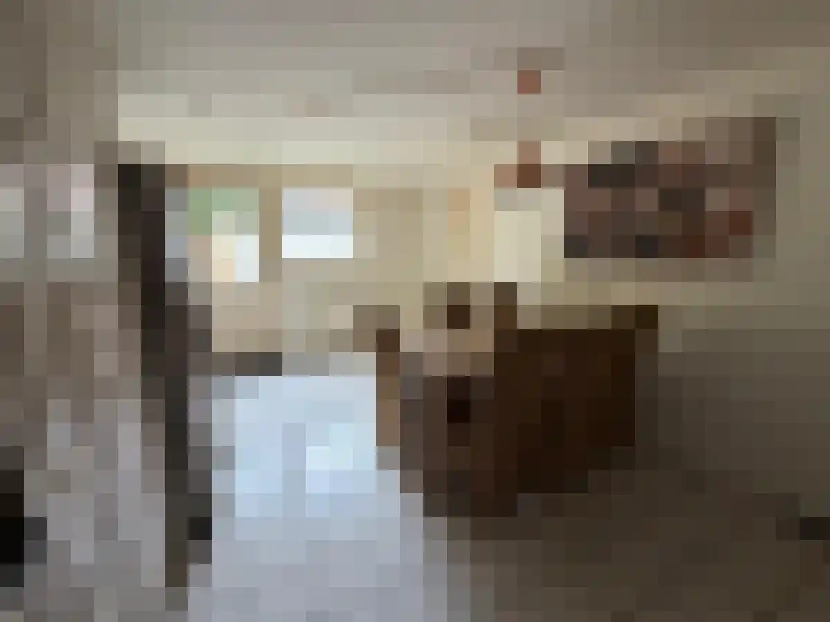 Poppeweg Leeuwarden thumbnail 6