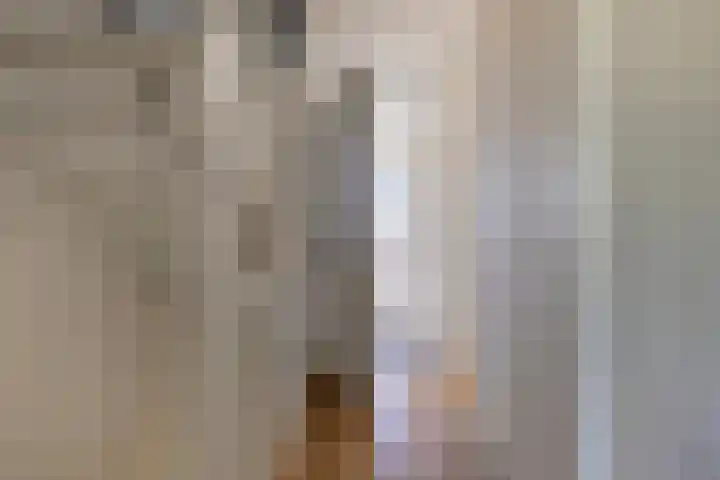 Poproute 29 Middelburg thumbnail 18