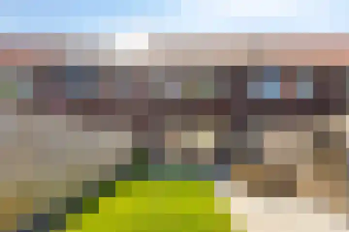 Poproute 29 Middelburg thumbnail 24