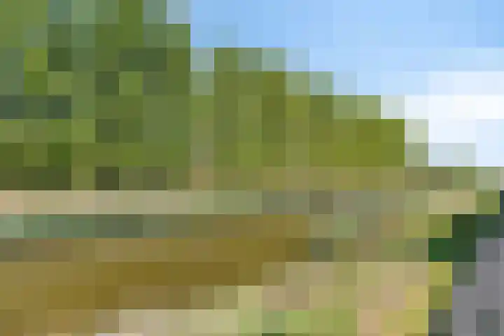 Poproute 29 Middelburg thumbnail 27