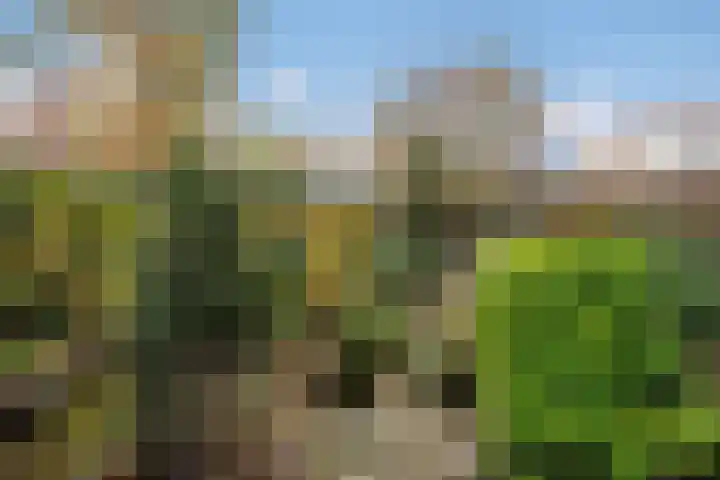 Poproute 29 Middelburg thumbnail 36