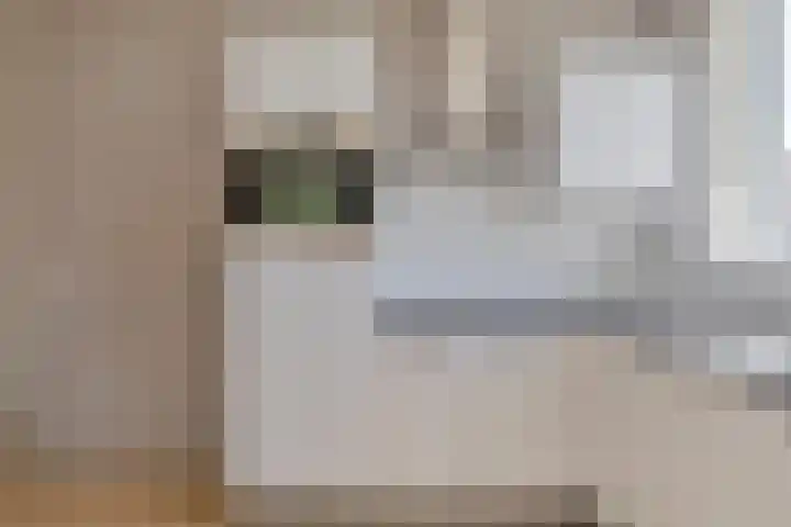 Poproute 29 Middelburg thumbnail 9