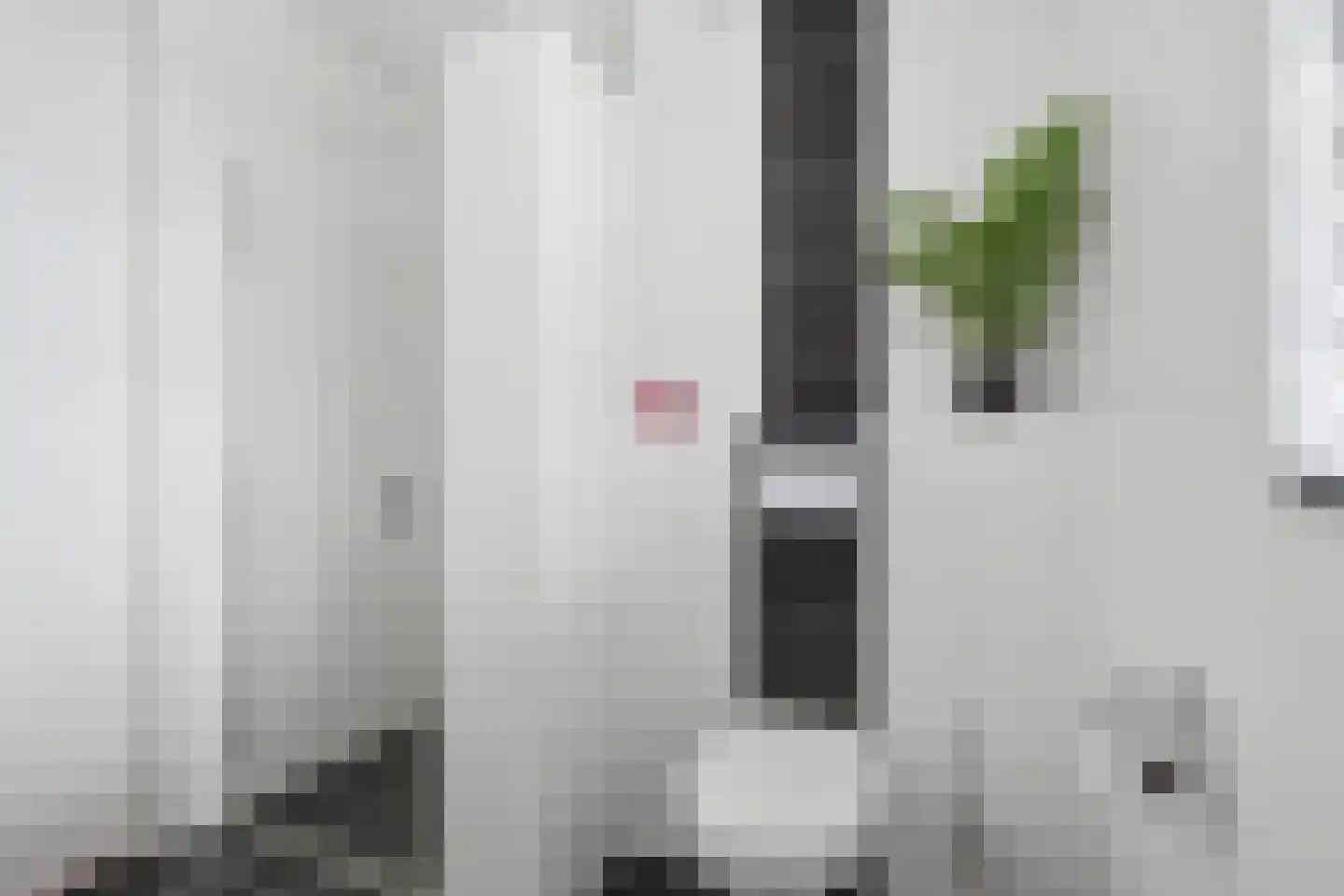 Poproute 33 Middelburg thumbnail 31
