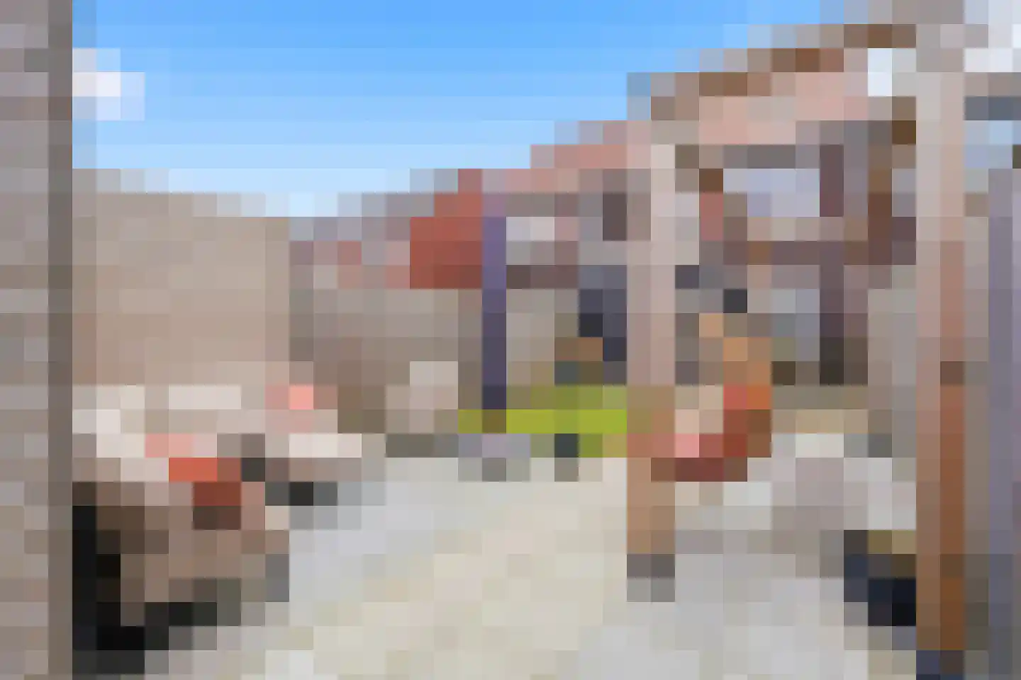Poproute 33 Middelburg thumbnail 4