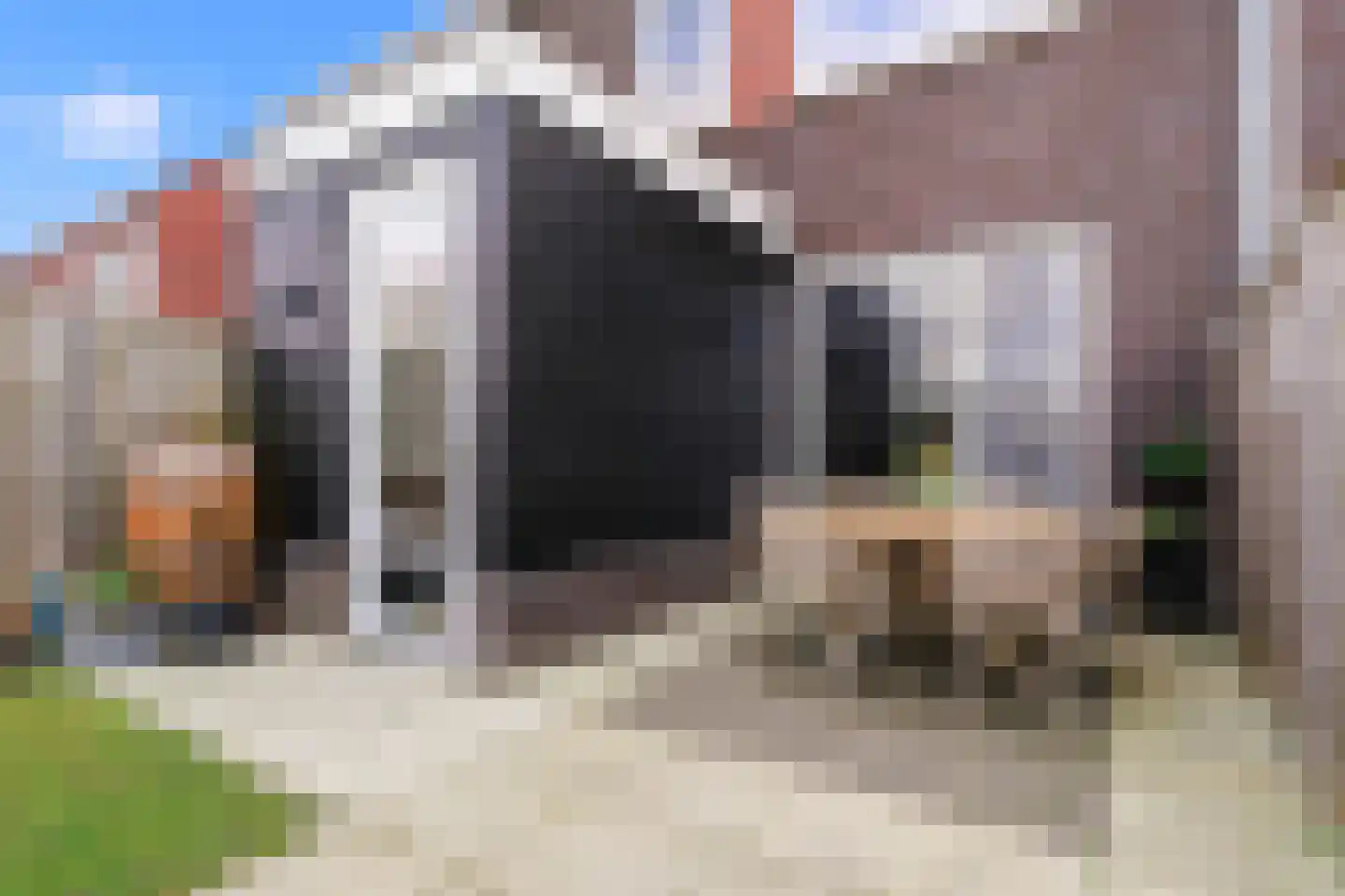 Poproute 33 Middelburg thumbnail 43