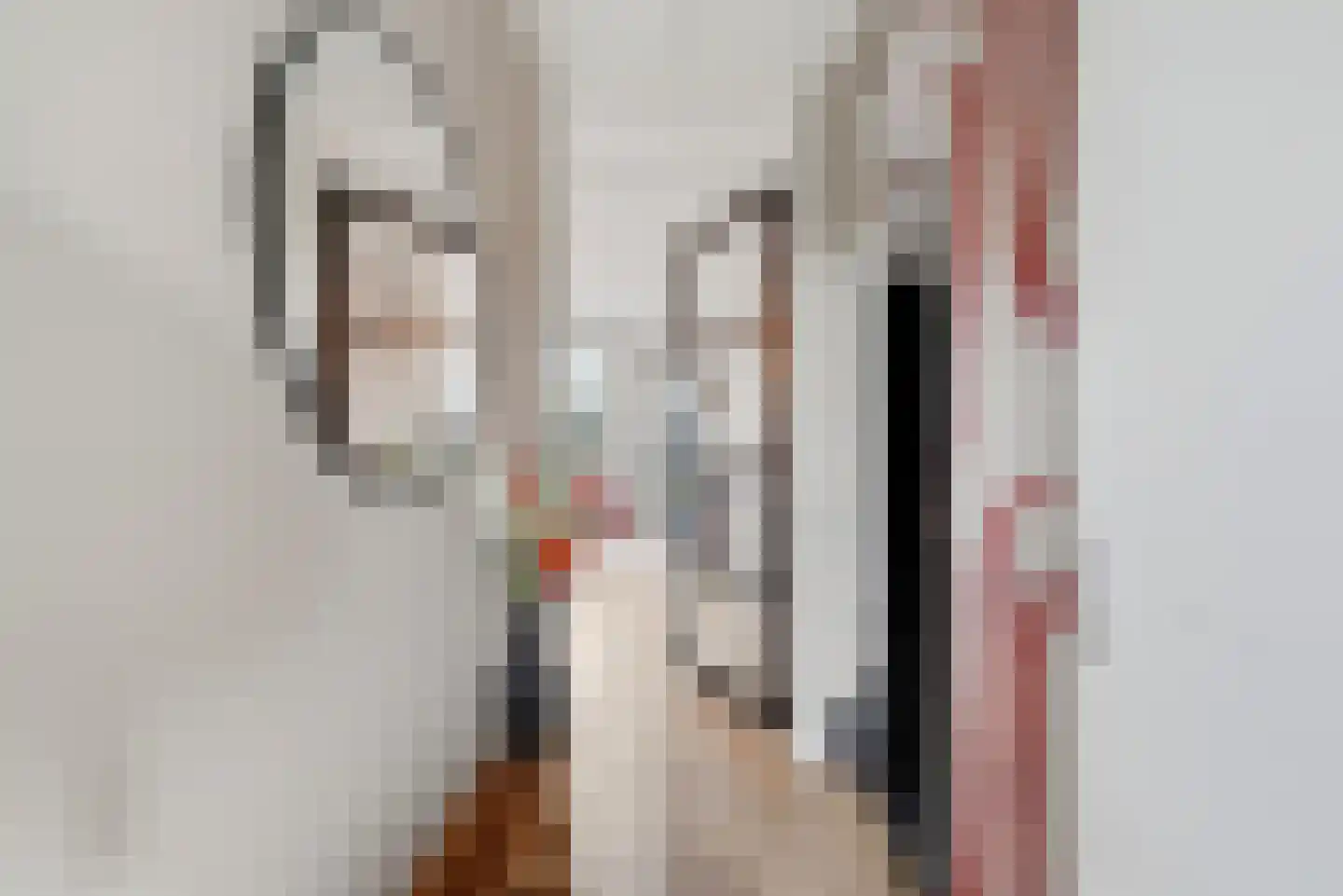 Poproute 33 Middelburg thumbnail 6