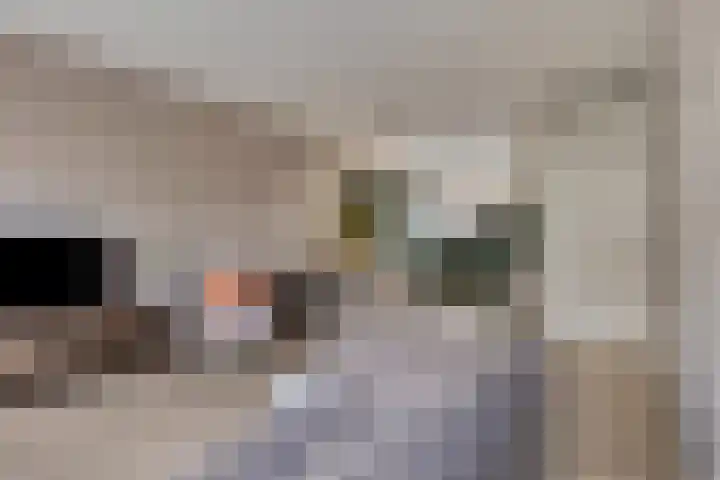 Poproute 35 Middelburg thumbnail 10