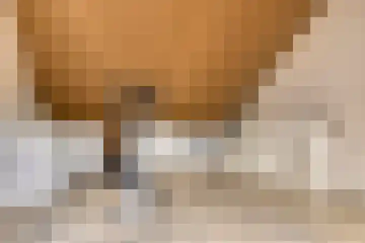 Poproute 35 Middelburg thumbnail 28