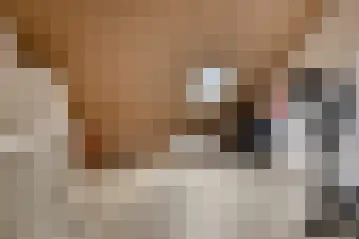 Poproute 35 Middelburg thumbnail 29