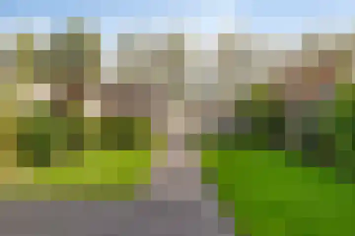 Poproute 35 Middelburg thumbnail 31