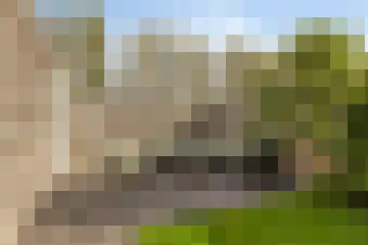 Poproute 35 Middelburg thumbnail 32
