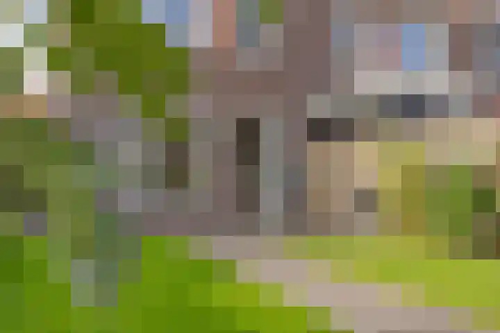 Poproute 35 Middelburg thumbnail 33