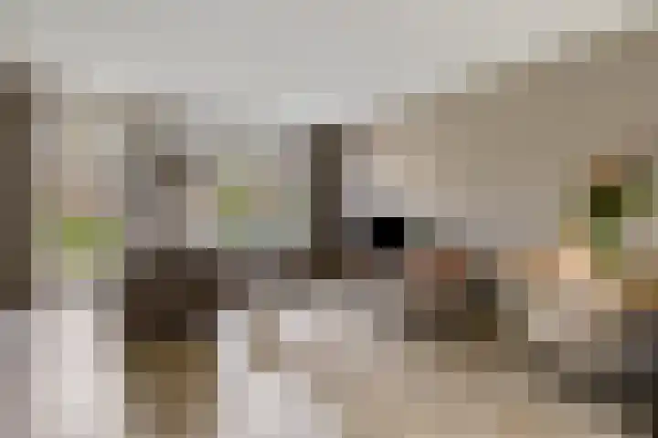 Poproute 35 Middelburg thumbnail 6