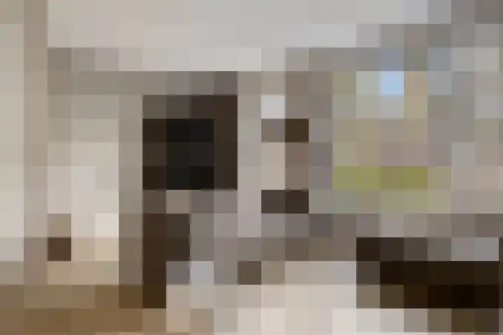 Poproute 35 Middelburg thumbnail 9