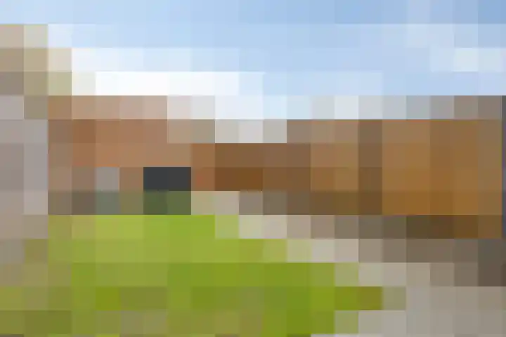 Poproute 57 Middelburg thumbnail 26