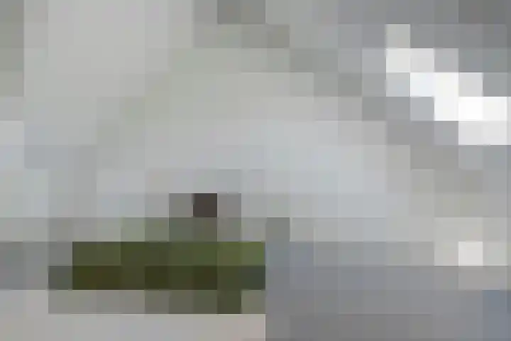 Poproute 59 Middelburg thumbnail 26