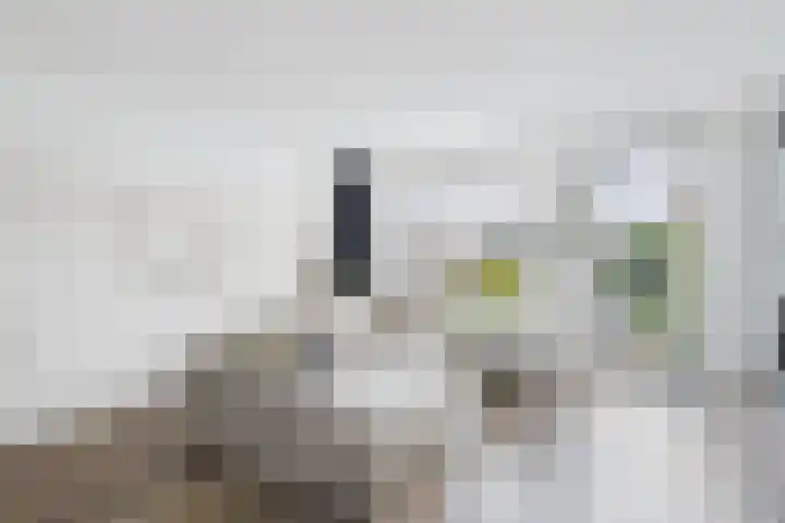 Poproute 93 Middelburg thumbnail 13