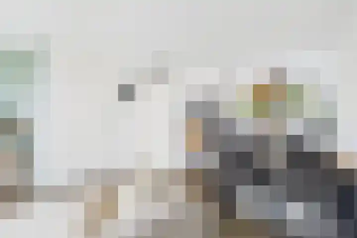 Poproute 93 Middelburg thumbnail 15