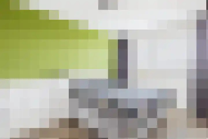 Poproute 93 Middelburg thumbnail 25