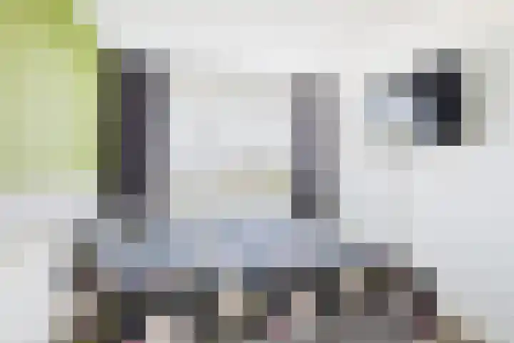 Poproute 93 Middelburg thumbnail 26