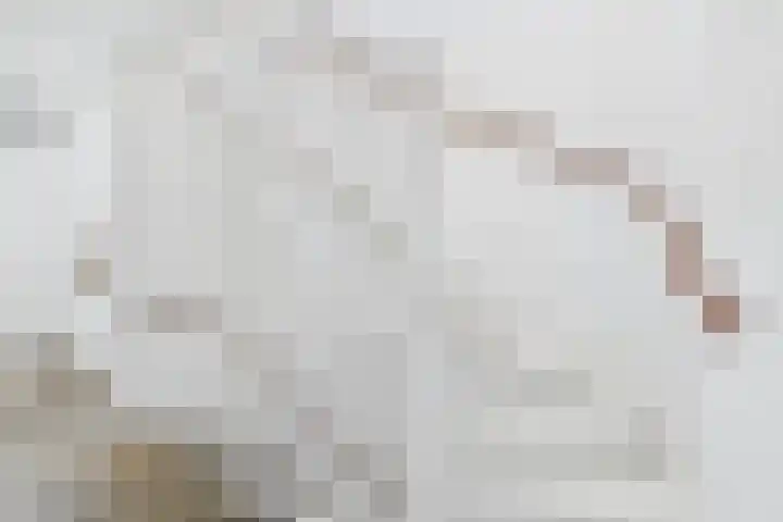 Poproute 93 Middelburg thumbnail 33
