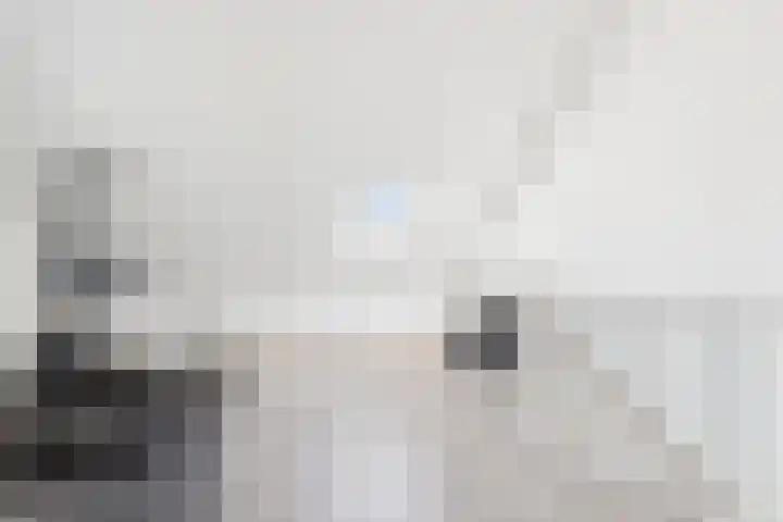Poproute 93 Middelburg thumbnail 34
