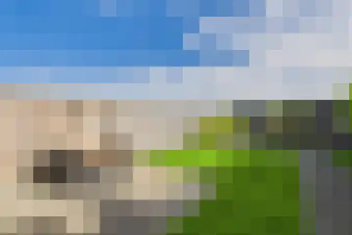 Poproute 93 Middelburg thumbnail 38