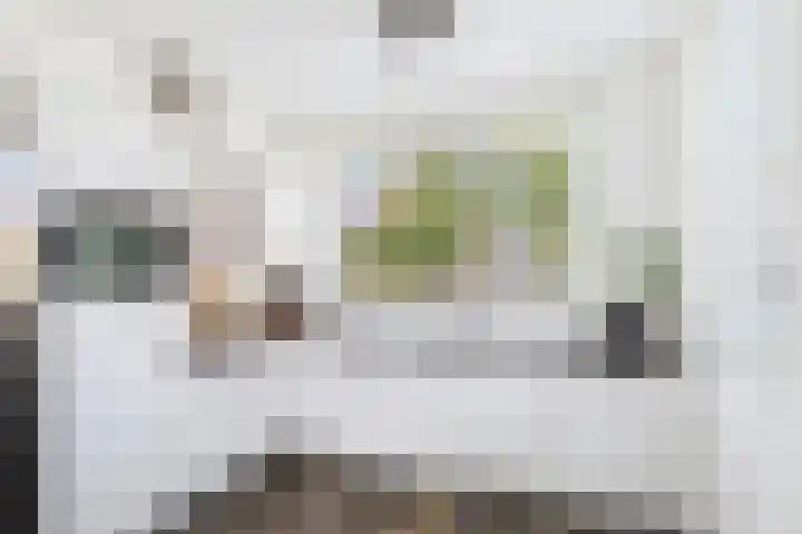 Poproute 93 Middelburg thumbnail 4
