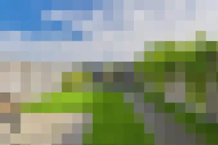 Poproute 93 Middelburg thumbnail 5