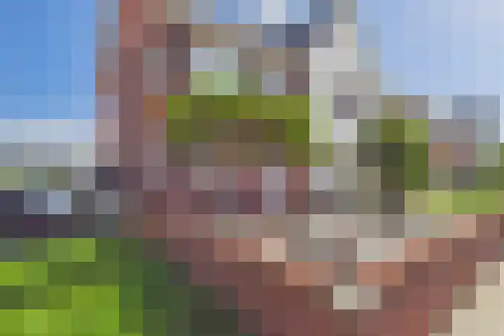 Poproute 93 Middelburg thumbnail 6