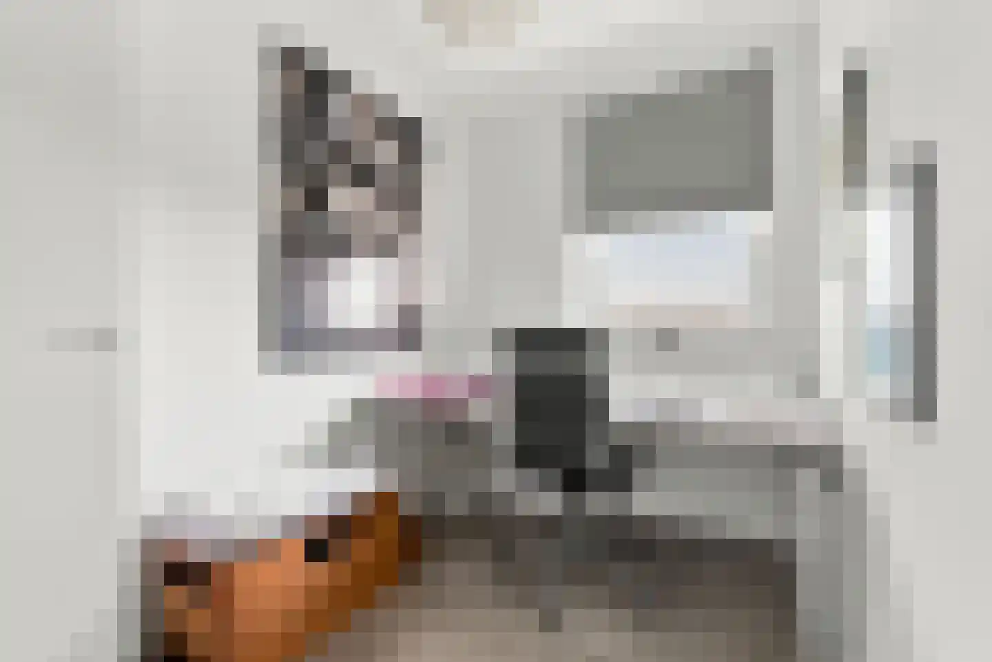Poproute 95 Middelburg thumbnail 19