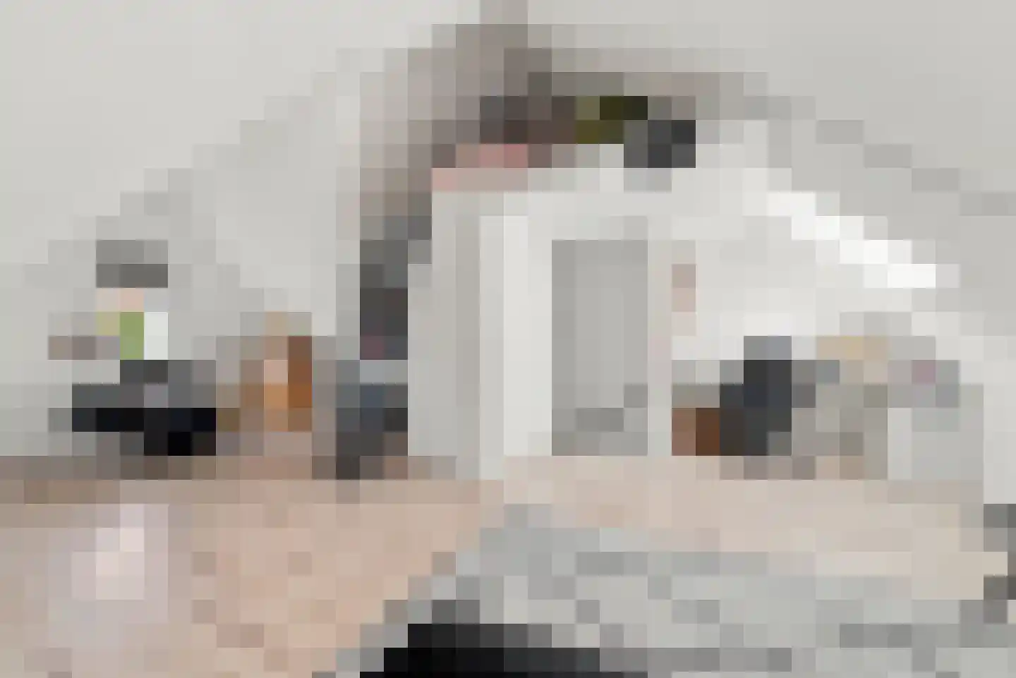 Poproute 95 Middelburg thumbnail 23