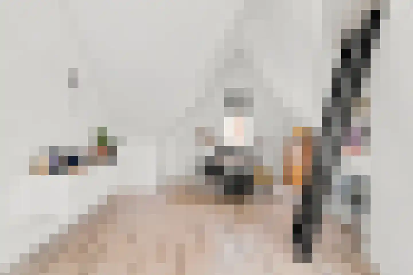 Poproute 95 Middelburg thumbnail 24