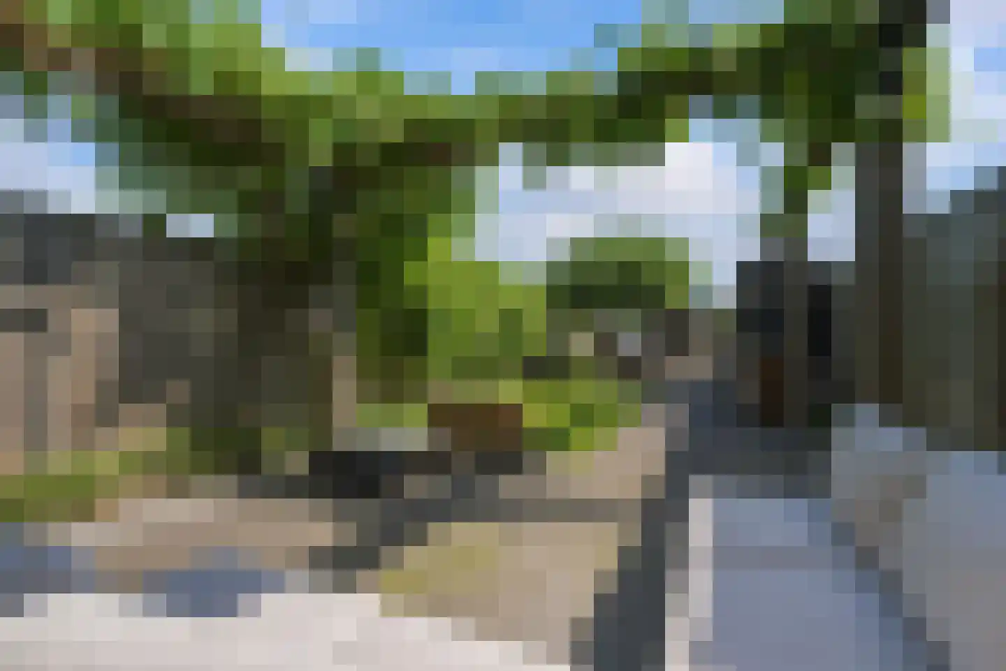 Poproute 95 Middelburg thumbnail 25