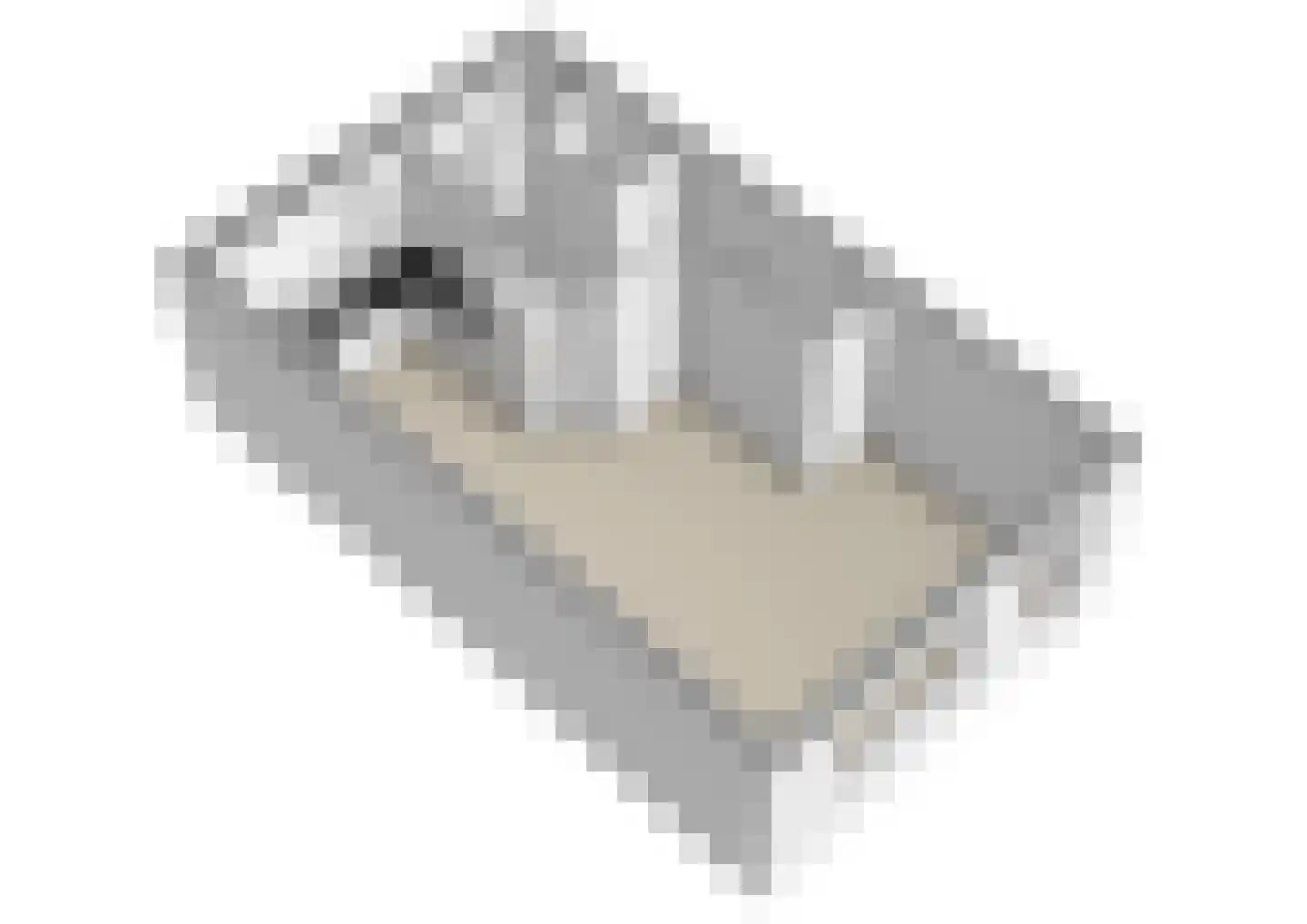 Poproute 95 Middelburg thumbnail 38