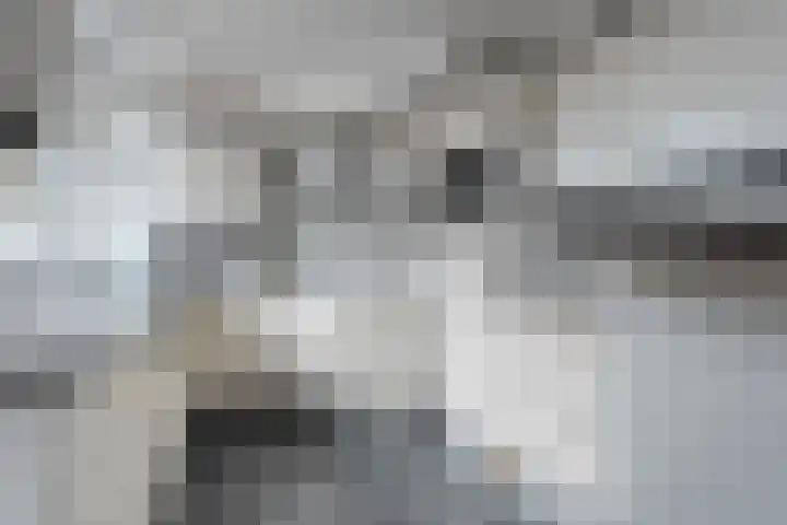 Poptastate 8 Almelo thumbnail 12