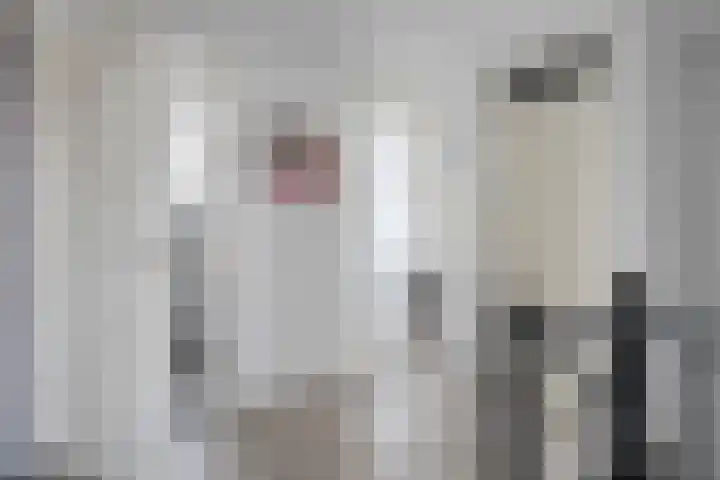 Poptastate 8 Almelo thumbnail 14